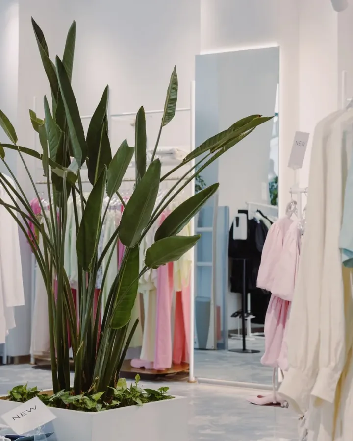 Khách mặc đầm dự tiệc